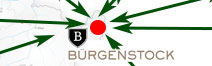 Airport transfer to Burgenstock from Geneva with Limousine / Minibus / Helicopter / Limousine